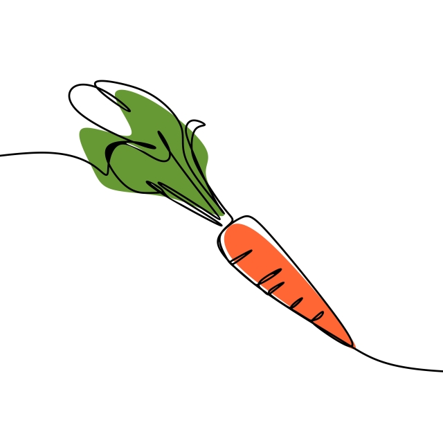 640x640 carrot vegetable continuous line art drawing vector, one line