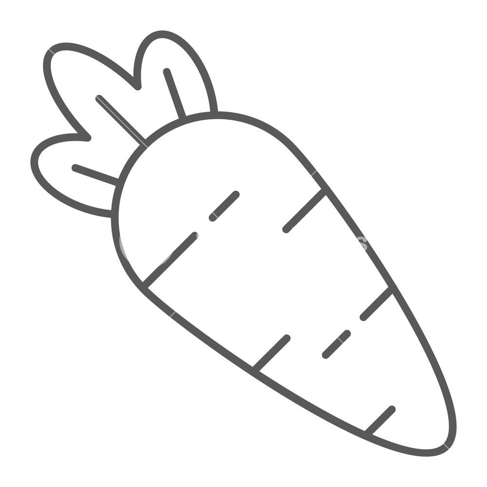 1000x1000 carrot thin line icon, vitamin and food, vegetable sign, vector