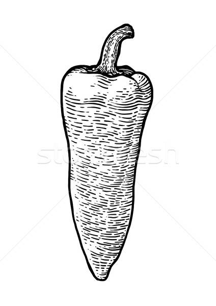 424x600 Pepper, Paprika Illustration, Drawing, Engraving, Line Art