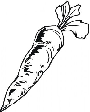 290x360 Carrot Drawing Textiles