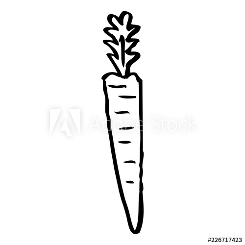 500x500 Line Drawing Cartoon Doodled Carrot
