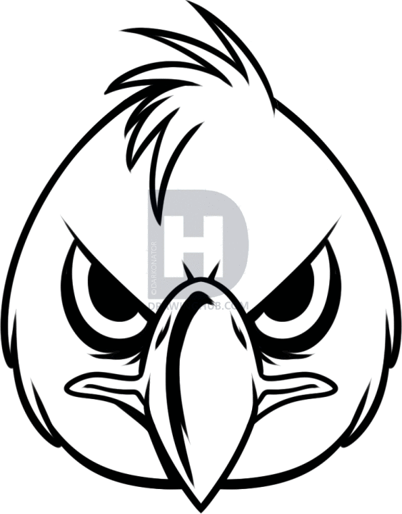 563x720 How To Draw A Realistic Angry Bird, Step