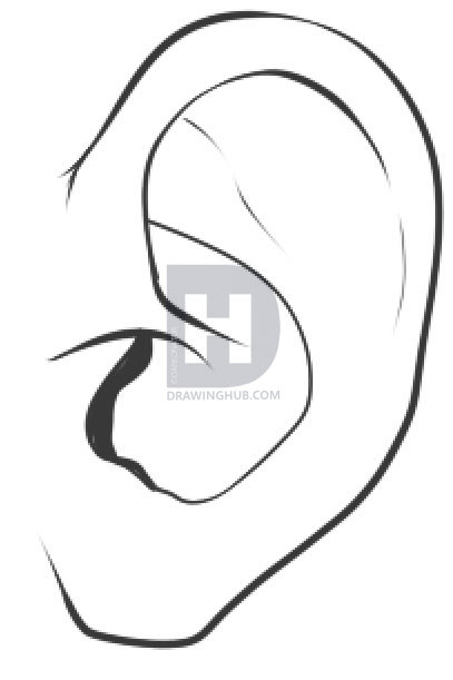 407x611 How To Draw A Ear, Step