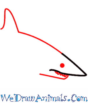 300x350 How To Draw A Shark
