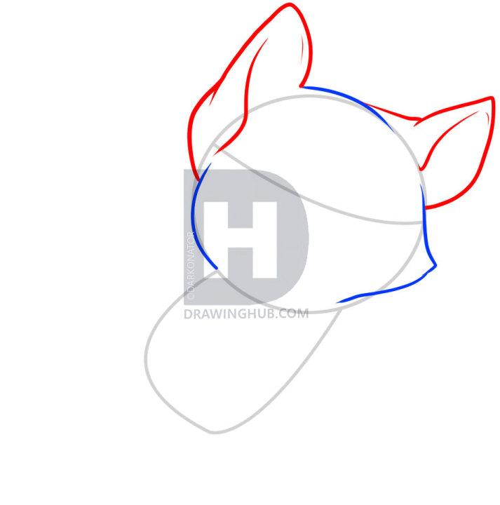 713x720 How To Draw Kitties, Step