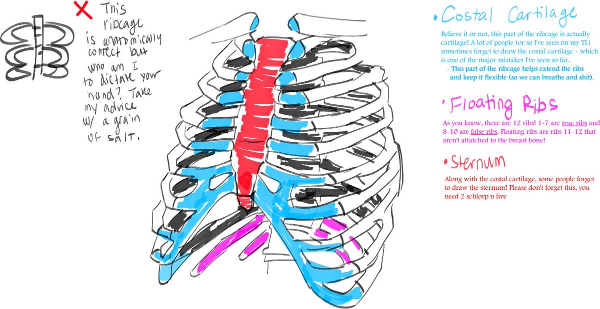 1200x619 jona fortnite kennedy on twitter anatomy lesson time!