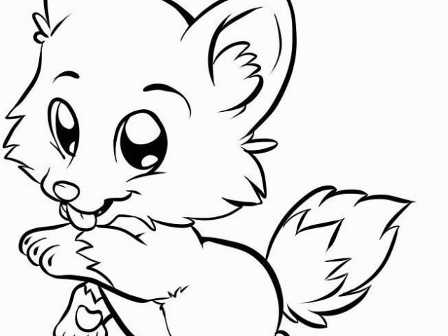 640x480 Cute Baby Animal Coloring Pages To Print Cute Cartoon Animals