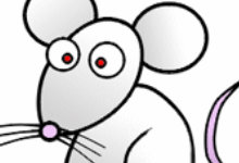 220x150 draw cartoon animals from the farm easily