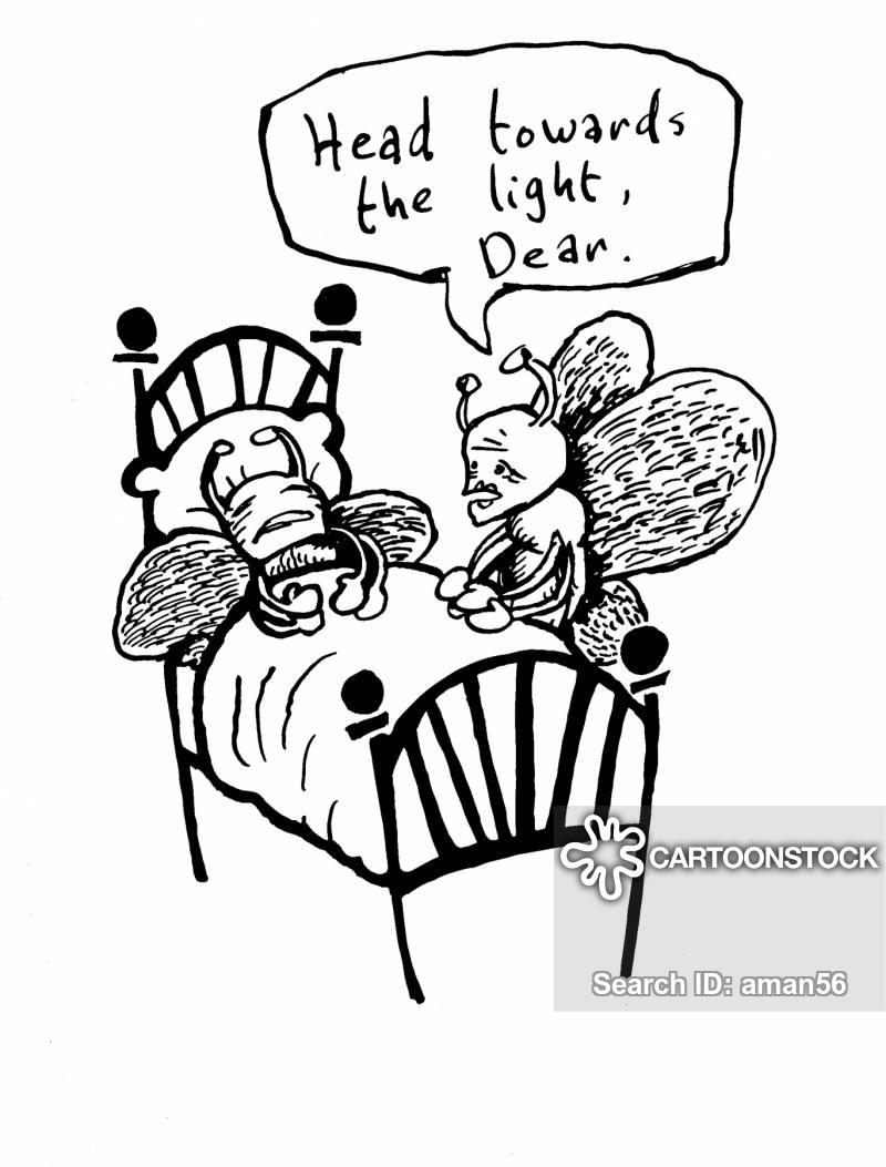 800x1053 Death Beds Cartoons And Comics