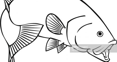 471x250 Black Bass Drawing Neck Cartoon Boat Instrument Design Baseball