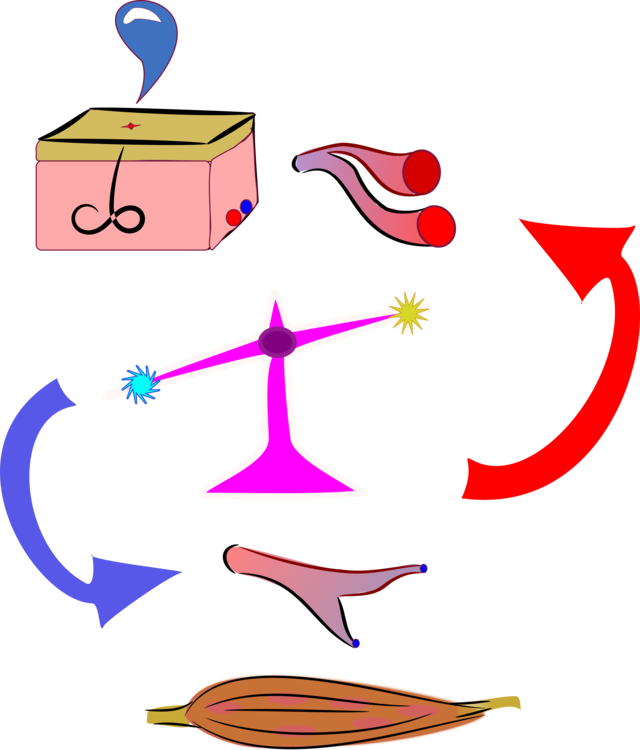 640x750 Anatomy Physiology Human Body Drawing Cartoon Cc0