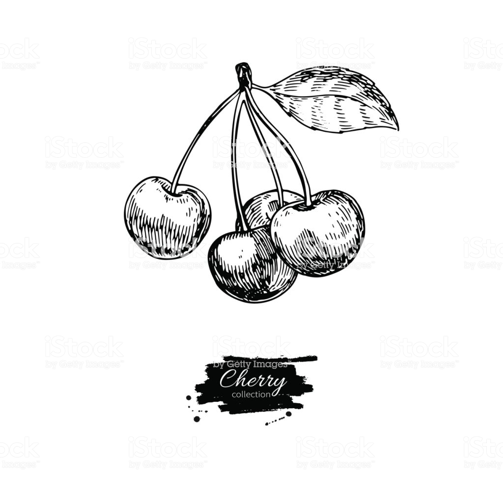 1024x1024 Drawing Cherry Blossom Tree Cute Cluster Cartoon Easy