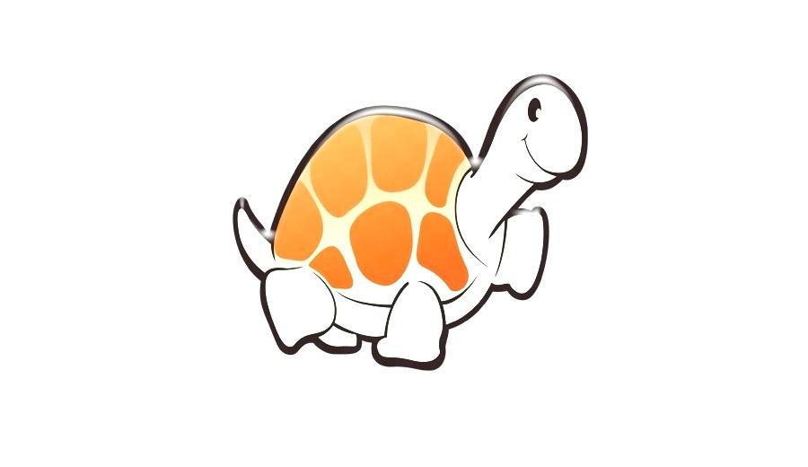 900x520 Turtle Cartoon Drawing Cartoon Turtle Pictures For Kids Coloring