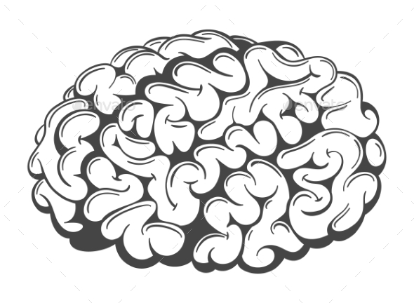 590x432 Collection Of 'brain Drawing' Download More Than Images