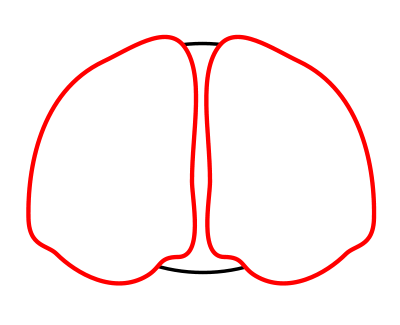 400x325 Drawing A Cartoon Brain