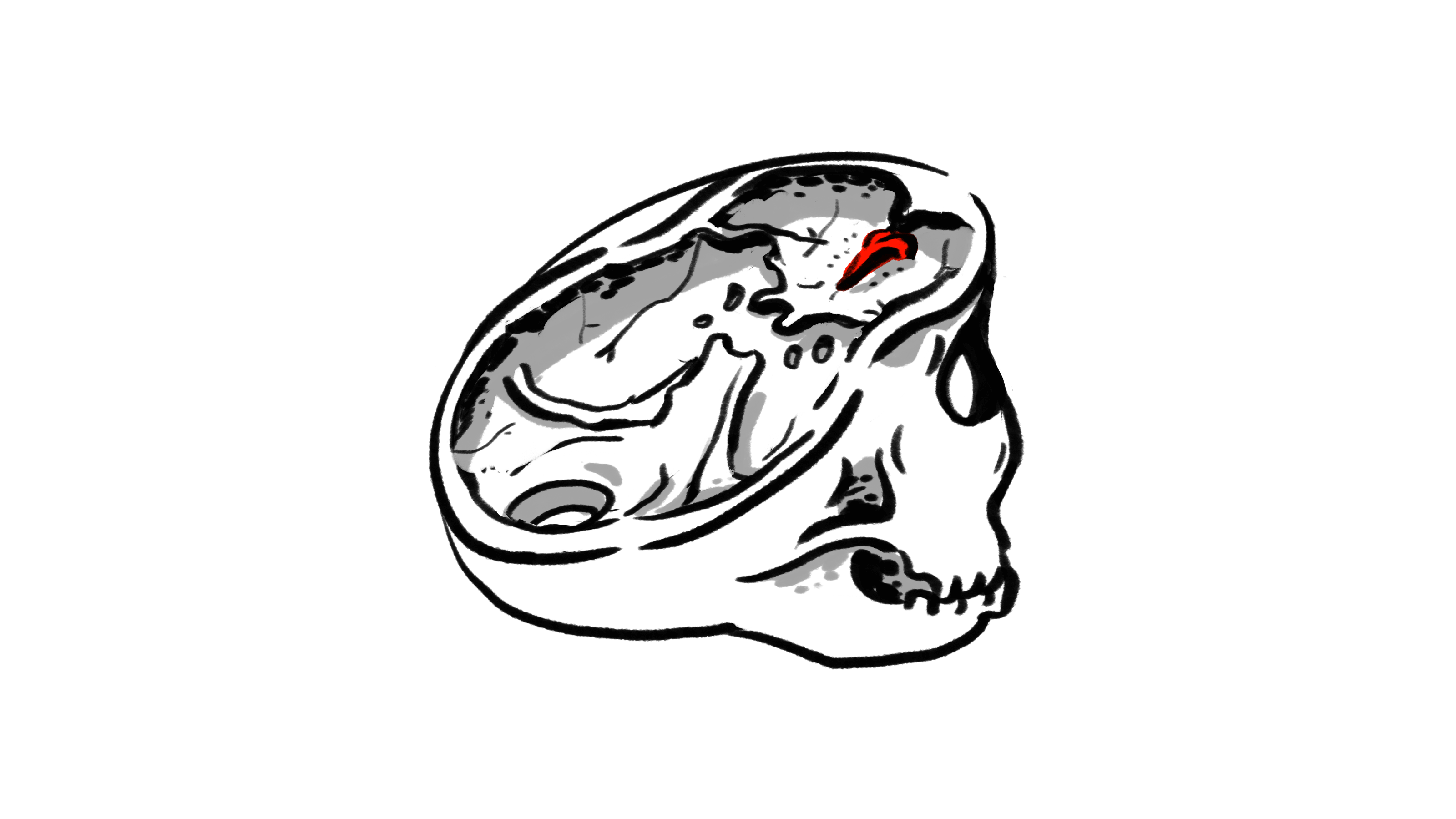 3200x1800 how to draw a brain easily and label in illustrator cartoon