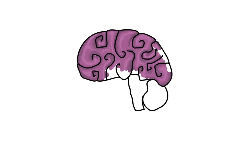 852x480 Human Brain Hand Draw Cartoon Stock Footage Video