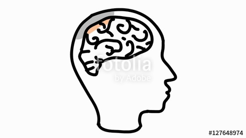 500x281 Human Brain Line Drawing Animation Transparent Background Stock