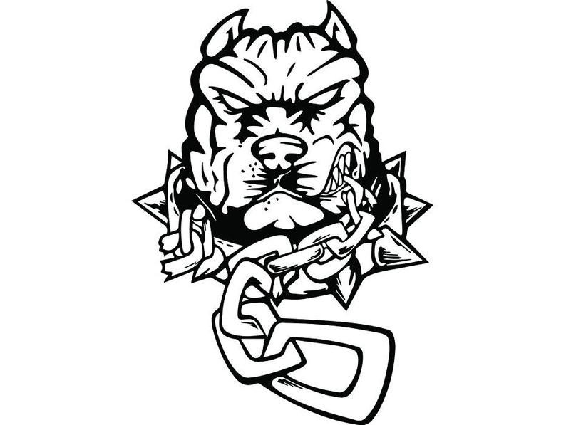 794x597 Huge Collection Of 'mean Bull Drawing' Download More Than