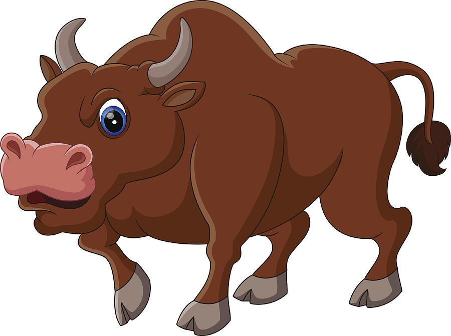 900x671 Strong Bull Cartoon Drawing