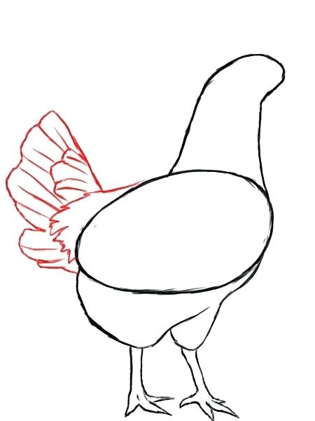 450x600 How To Draw Chickens Draw Cartoon Chickens