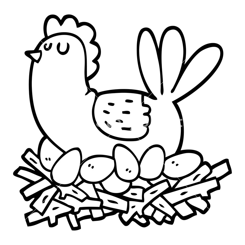 1000x1000 Black And White Cartoon Chicken On Nest Of Eggs Royalty Free Stock