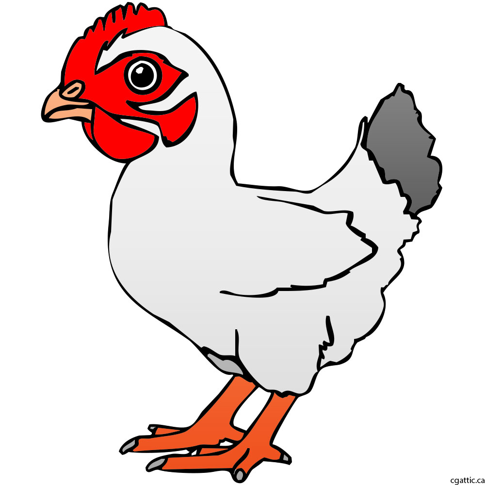 1000x1000 Chicken Cartoon Drawing In Steps With Photoshop