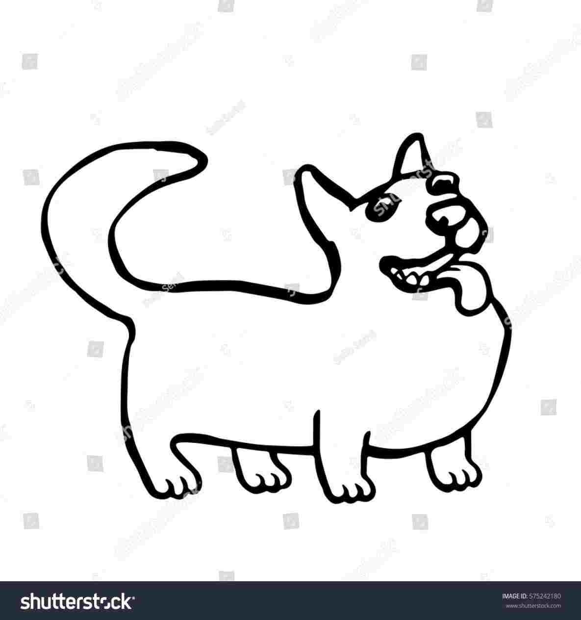 1185x1264 How Cartoon Corgi Drawing To Draw A Cute Kawaii Chibi Easy Step