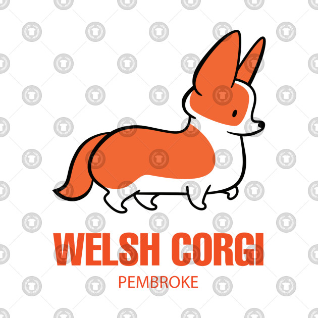 630x630 Corgi Dog Breed Drawing Cartoon