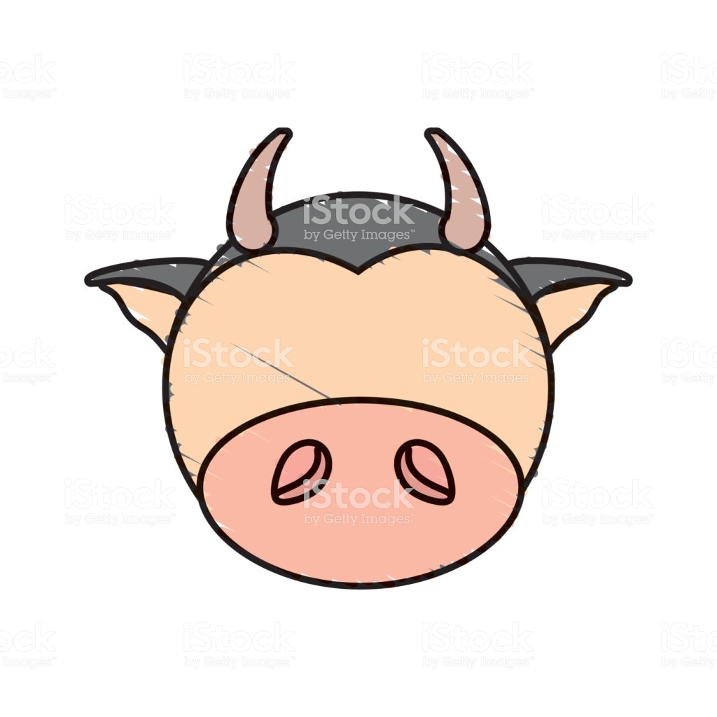 1024x1024 Cow Face Drawing Tutorial Jersey Cartoon Easy Simple A Images