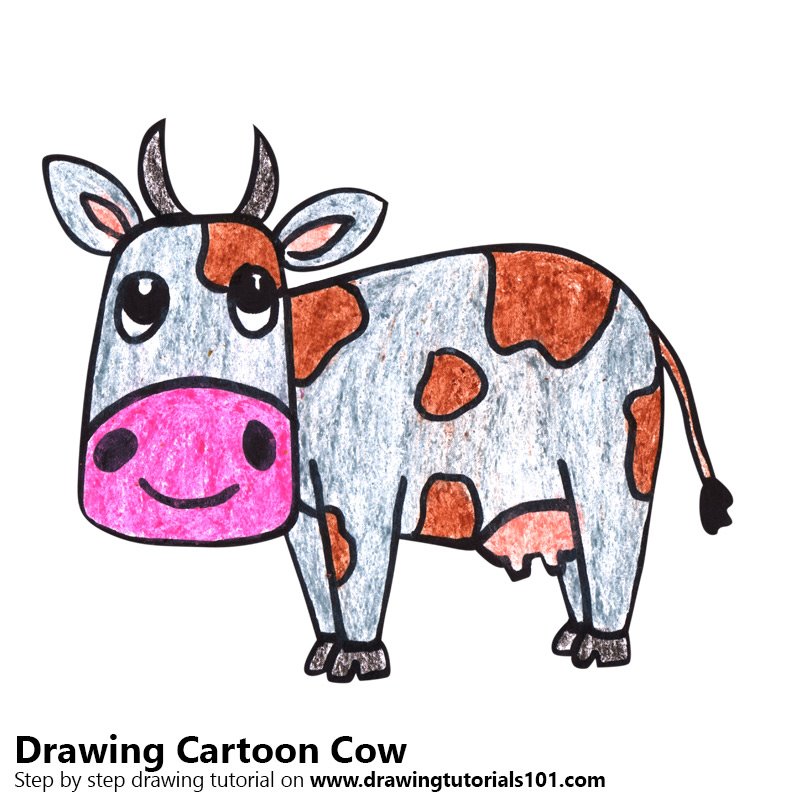 800x800 Learn How To Draw A Cartoon Cow
