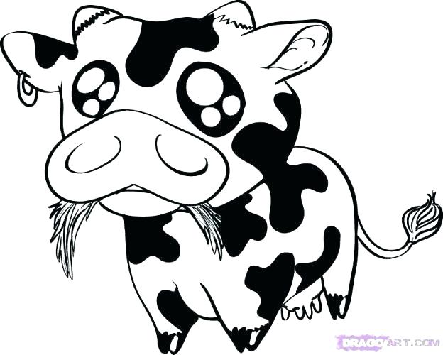 624x500 cartoon drawings of cows draw cartoon cow eyes nip