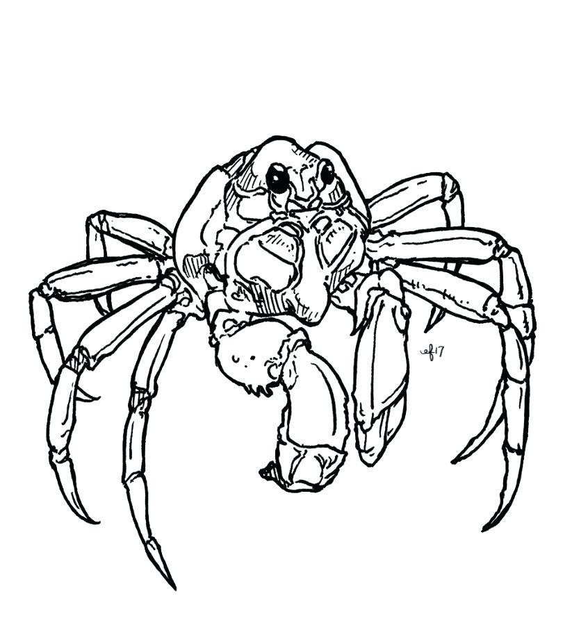 823x920 Crab Drawings Crab Cartoon Easy