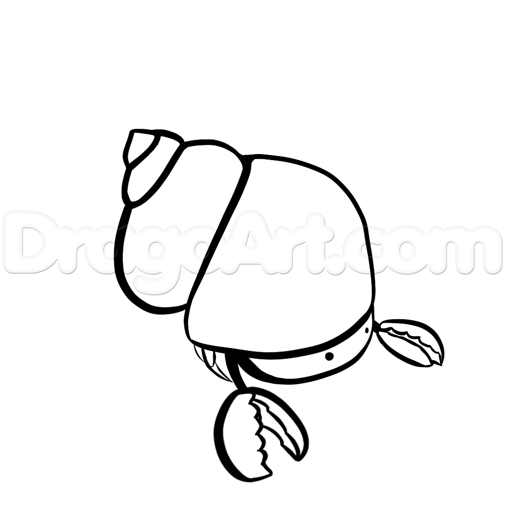 1000x1000 Cartoon Crab Drawing Step How To Draw A Cute Cartoon Hermit