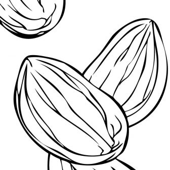 336x336 Diamond Cartoon Drawing Free Blue Knurl Callout Buy Chalk Dogs