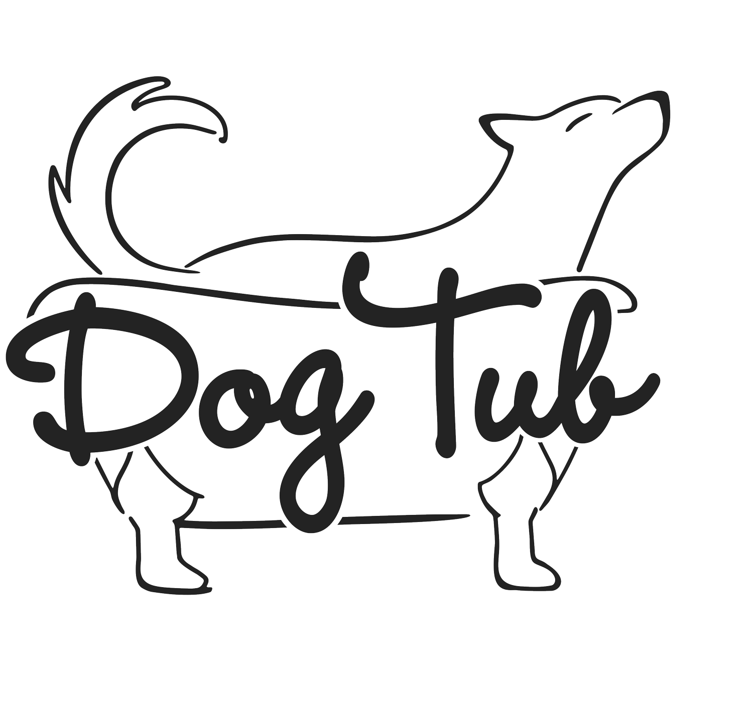 1500x1416 shampoo drawing cartoon dog transparent png clipart free