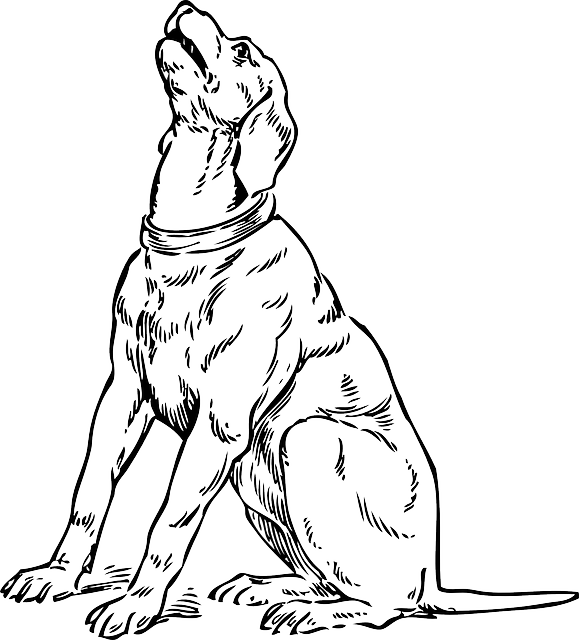 579x640 Silhouette, Cartoon, Dog, Dogs, Sitting, Barking, Pet
