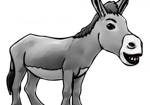 300x210 Mule Cartoon Drawing Donkey Cartoon Drawing In Steps