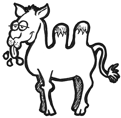 400x392 How To Draw Cartoon Camels With Easy Step