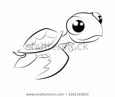 450x380 Turtle Cartoon Drawing