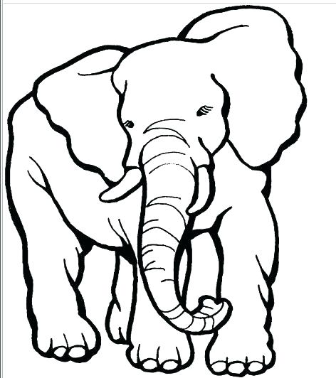 472x532 Elephant Drawing Cartoon At Free For Personal Use Cartoon Elephant