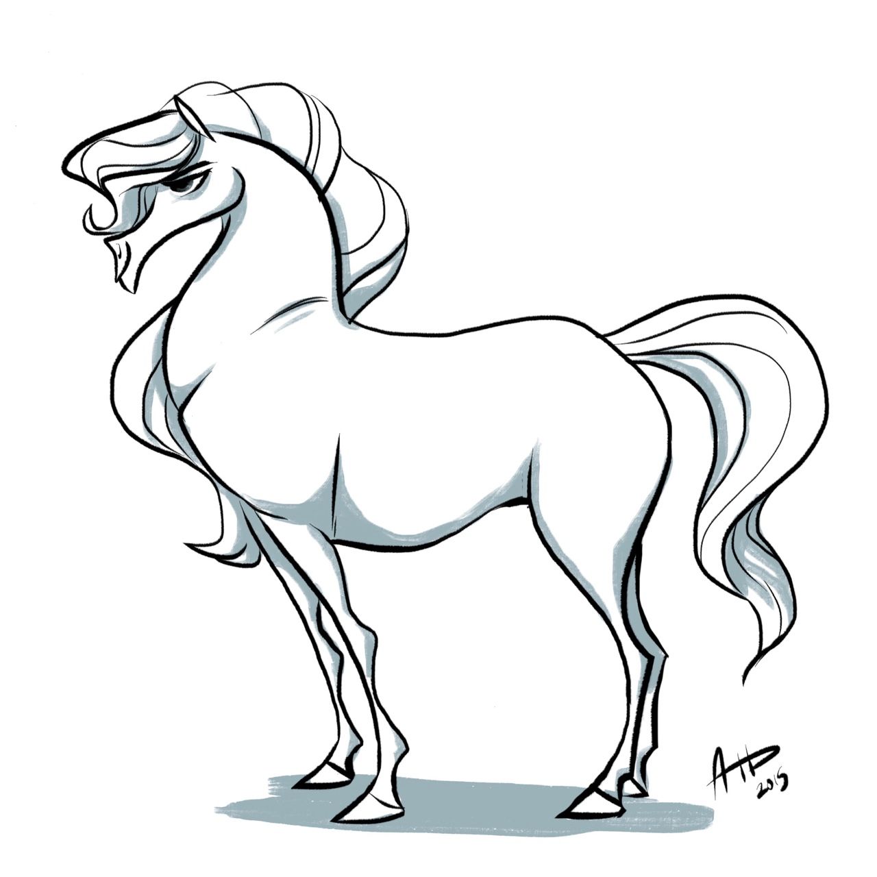 1280x1280 dhd handsome young stallion after some well