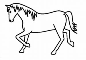 300x210 Horse Cartoon Drawing