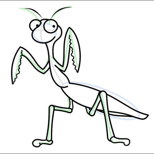 540x540 Praying Mantis Insect Cartoon Drawing Lesson