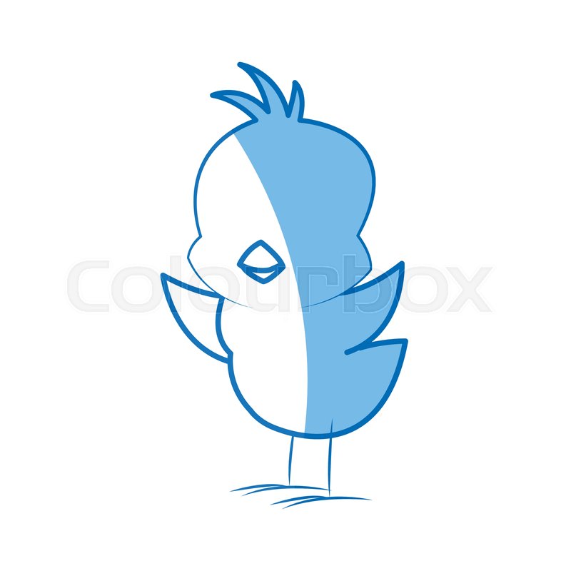 800x800 Cartoon Little Chicken Bird Farm Stock Vector Colourbox