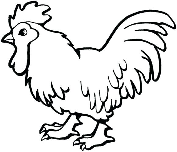 580x500 Draw Farm Animals Little Rooster Farm Animal Coloring Pages Easy