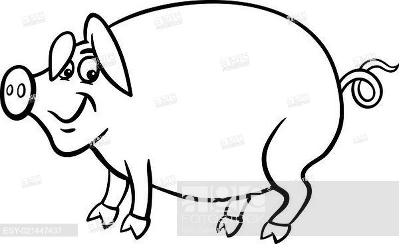 800x490 Farm Pig Cartoon For Coloring Book, Stock Photo, Picture And Low