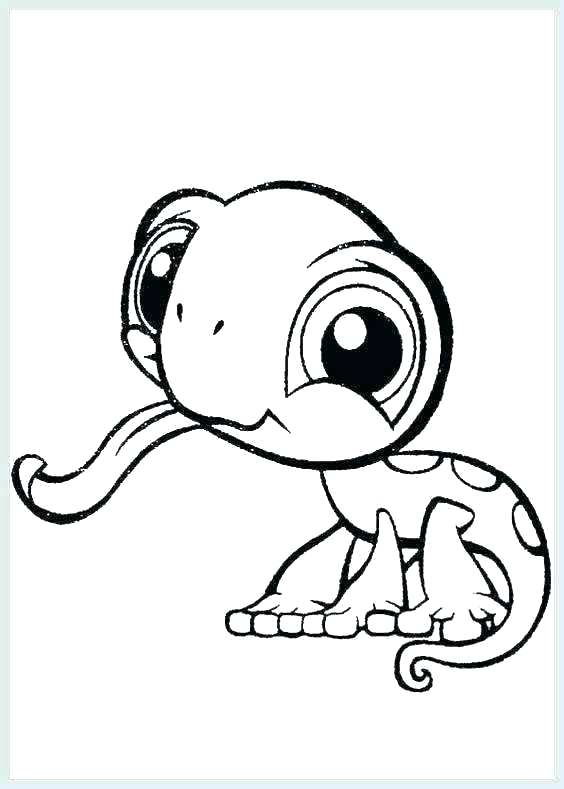 564x789 Cartoon Animals Coloring Pages Coloring
