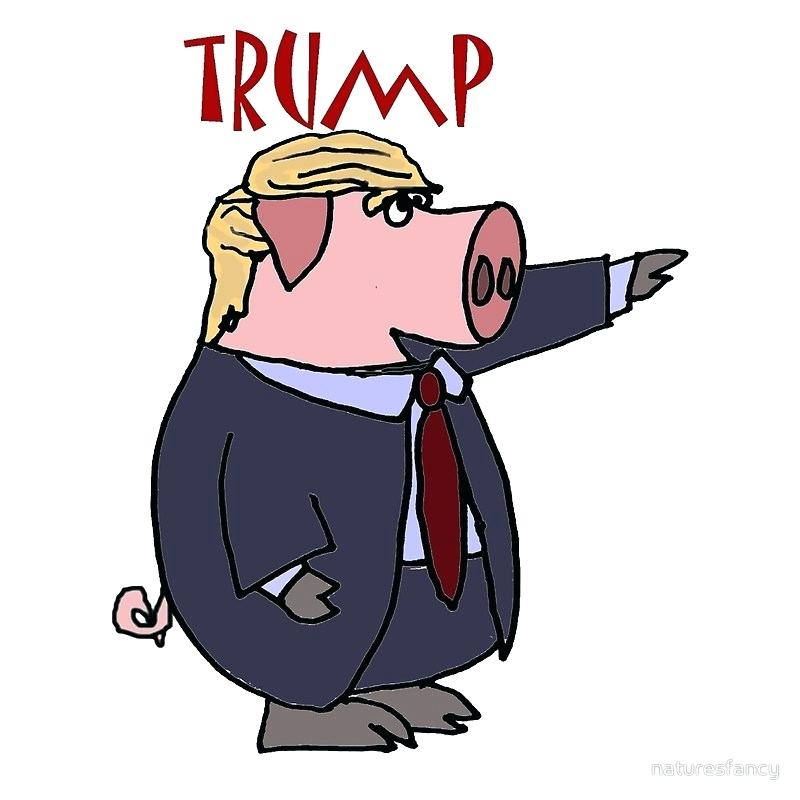 800x800 Cartoon Pig Drawing How To Draw Cartoon Pigs Step