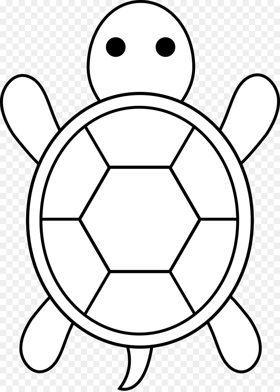Cartoon Drawing Of Turtle
